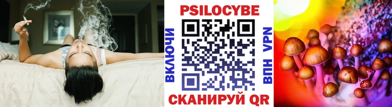 Купить  Микунь  Псилоцибиновые грибы Psilocybine cubensis 